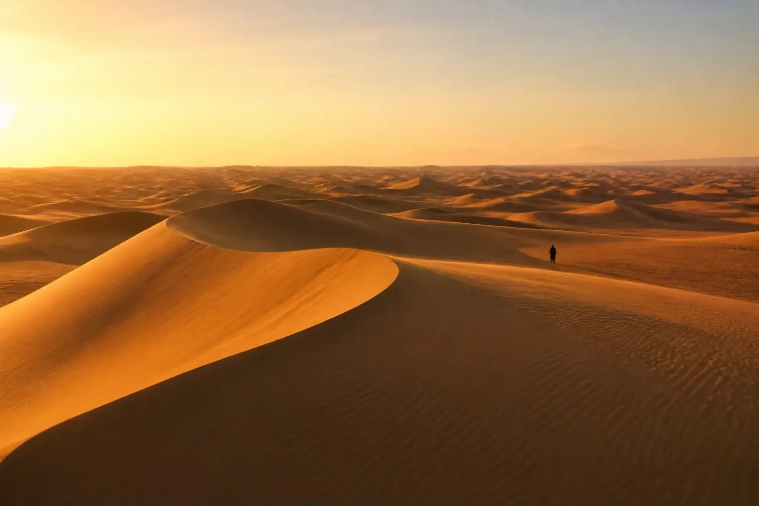 Sahara dunes near Douz at golden hour.